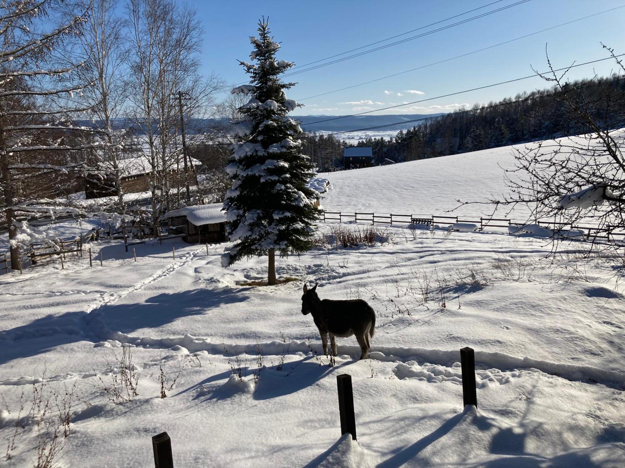 Pension Raclette Nakafurano Buitenkant foto